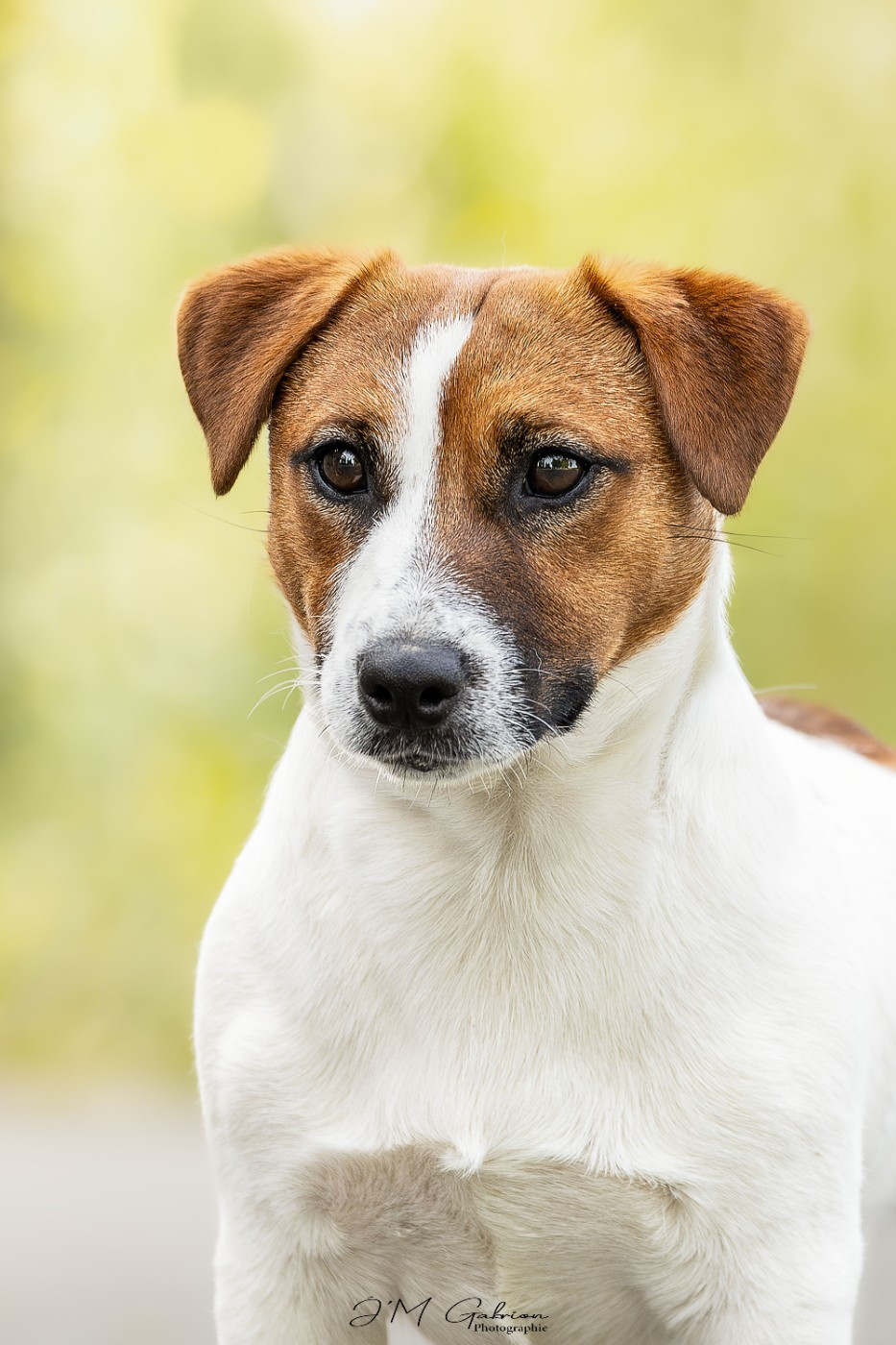 Very original Ted De L'arche De Chambord